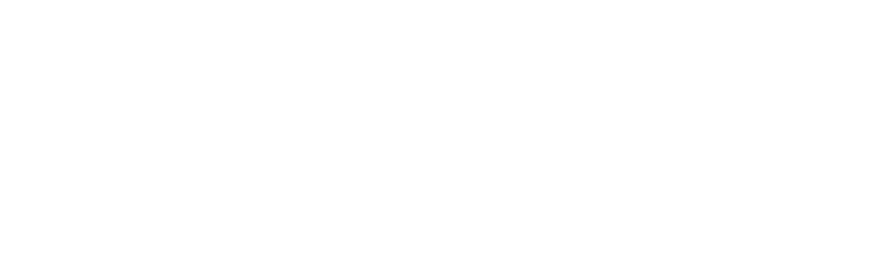 logo imaginary white